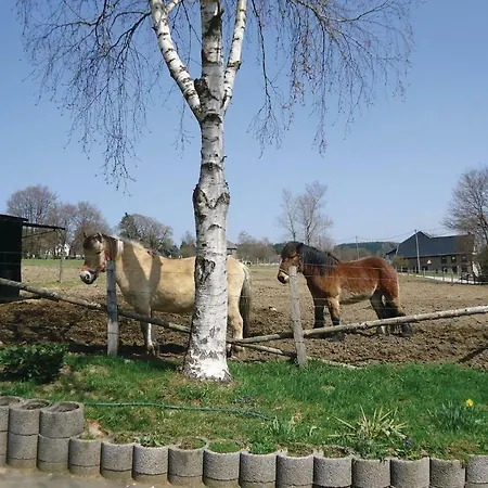 Sankt Vith 203 * St. Vith